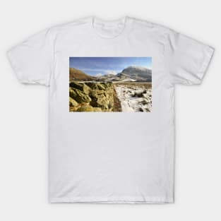 Brothers Water T-Shirt